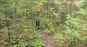 Portage 331