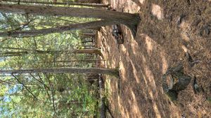 Campsite 750