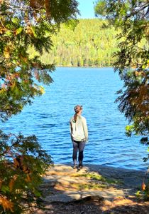 Portage 333