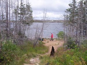 Seagull to Alpine Portage