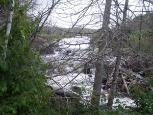 Portage