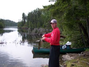 Swamp Lake Campsite