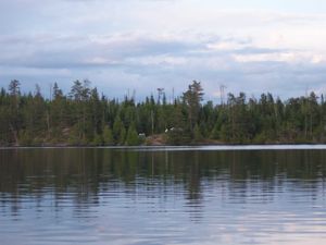 Swamp Lake Campsite