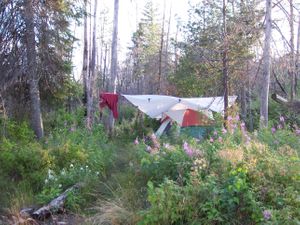 Alpine Lake Campsite