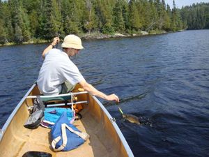 Fishing on Oyster