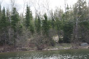 Island Camp