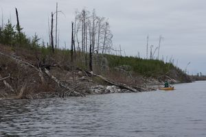 Burnt Shoreline