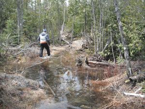 Kek Ponds Portage