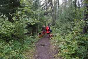 Snowbank - Disappointment Portage