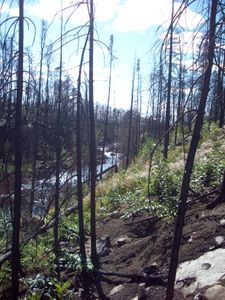 Portage into Insula