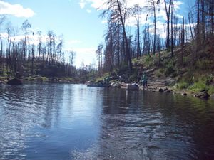 Portage into Insula