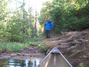 Insula Lake Island campsite