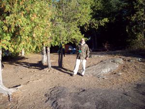 Insula Lake Island campsite