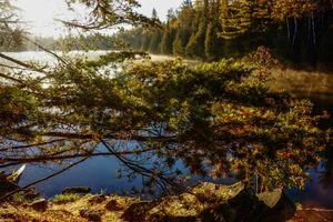 Little Caribou Camp