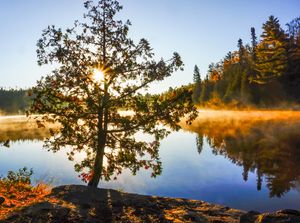 Little Caribou Camp