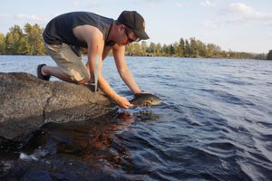 Lake One Fishing - Bass