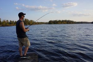 Lake One Fishing - Bass