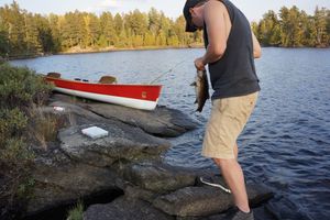 Lake One Fishing - Bass