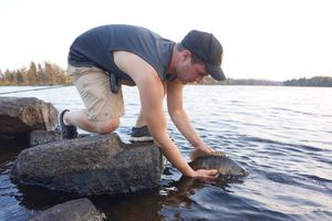 Lake One Fishing - Bass