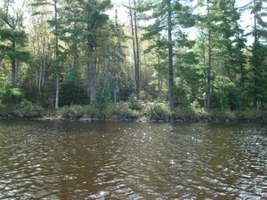 Campsite #273