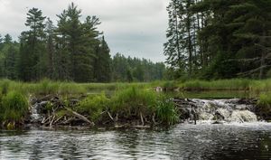 Moosecamp River