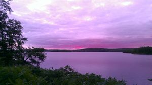 basswood view