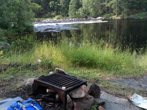 Campsite 1542