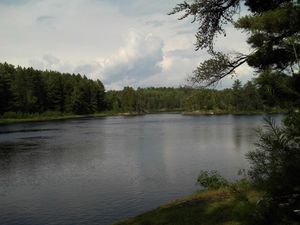 Campsite 1542 view 2