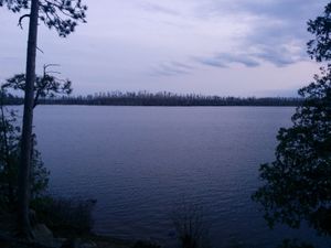 Burn zone view