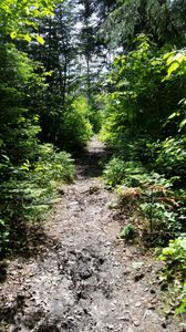 11 rod portage Range River to Sandpit