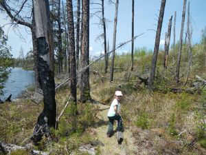 Hiking Kekekabic Trail