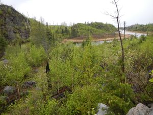 Chub River overlook