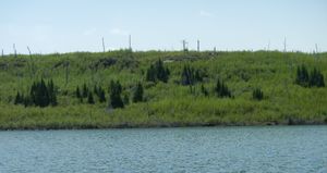 Peter Lake shoreline