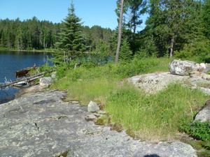 Campsite #278