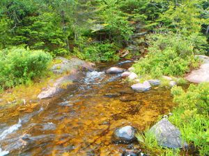 Sag-Swamp portage