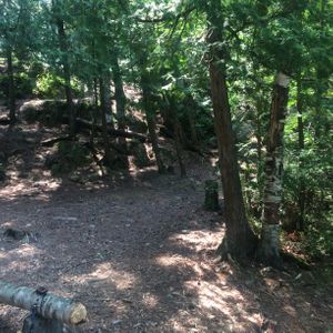 Campsite