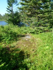Campsite #278