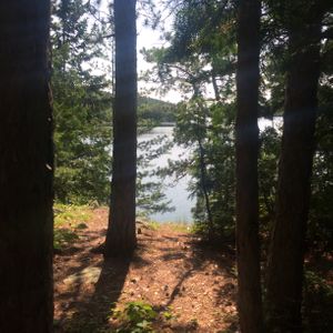 Campsite thunderbox view