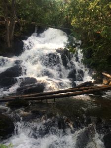 Eddy Falls