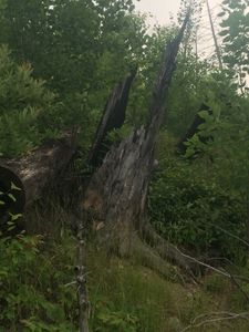 Ogish portage