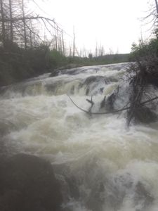 jasper alpine portage