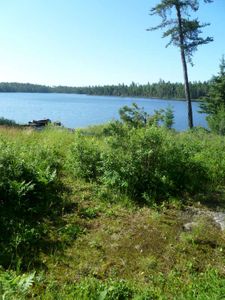 Campsite #278