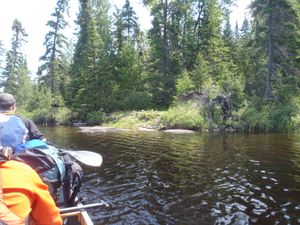 Cap to Pond  portage beginnig