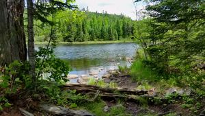 Rove Lake portage from Daniels or Rose