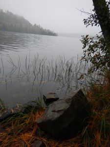 Daniels Lake shoreline