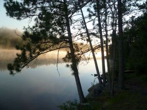 Campsite #277