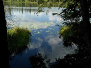 Into Kerr Lake