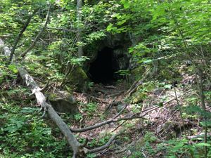 Abandoned Gold Mine