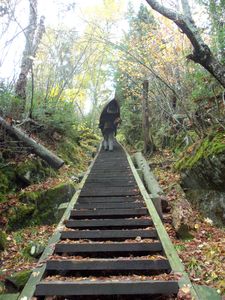 Stairway portage