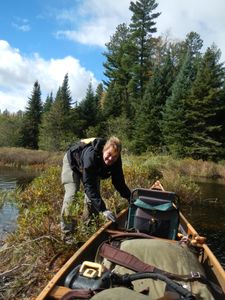 Watap beaver dam